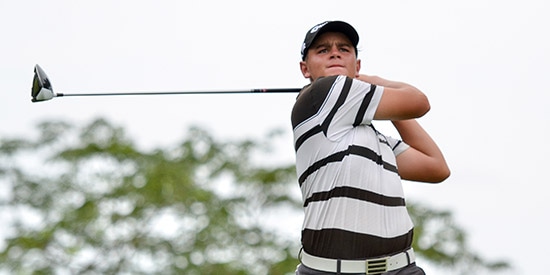 22 birdies lift Jarvis at the South African Stroke Play