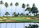 TPC Dorado Beach