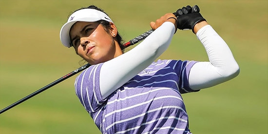 - Furman Paladins photo