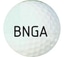 Bloomington Normal Match Play Championship