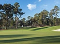 Bluejack National