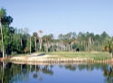 Marsh Landing Country Club