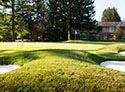 Cobblestone Creek Country Club