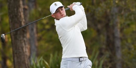 Florida State, Alex Fitzpatrick win at Valspar Collegiate