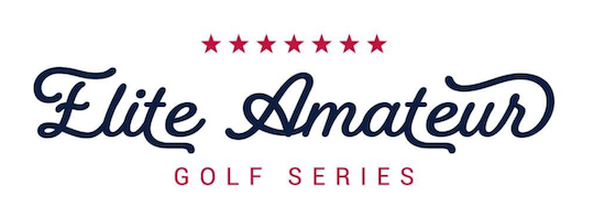Elite Amateur Series will start in summer 2022