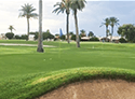Sun City South Golf Course