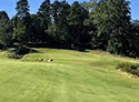 Verdict Ridge Golf & Country Club