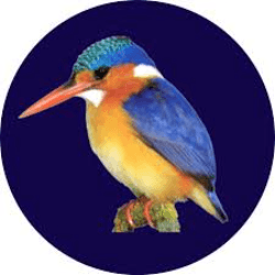 Mpumalanga Senior Open