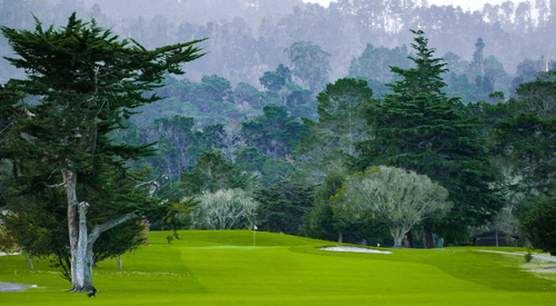 Old Del Monte Golf Course: A Classic Monterey Test Awaits the Christmas Classic