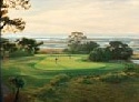 Fripp Island Resort - Ocean Creek