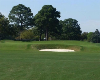 Host of the Senior Azalea Invitational