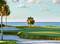 Sea Pines Resort - Atlantic Dunes