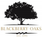 Wally Boughton Senior Open