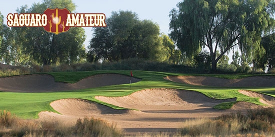 - Saguaro Amateur photo