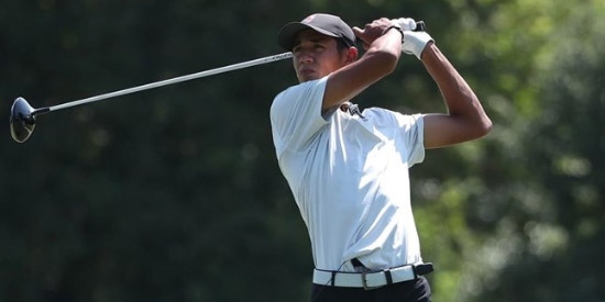 - Florida Gators photo