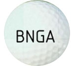 Bloomington Normal Match Play Championship