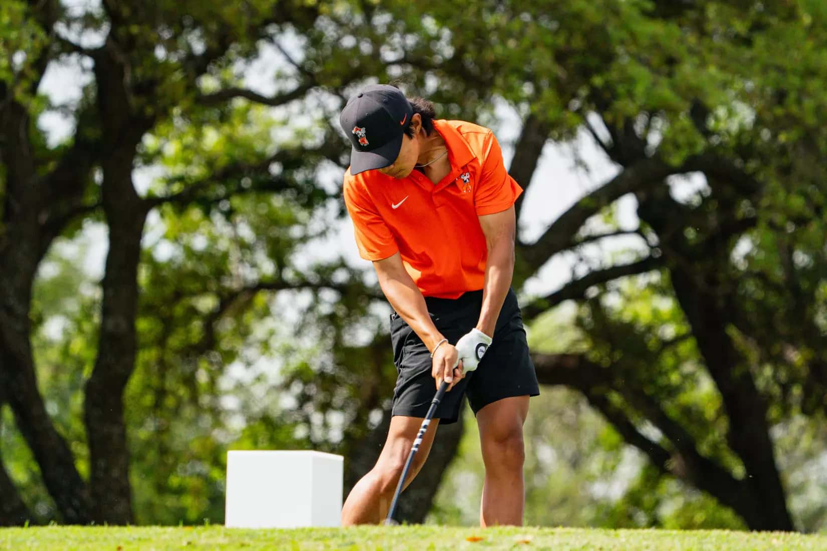 Oklahoma State University