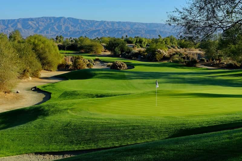 The Mountain View Course at Desert Willow