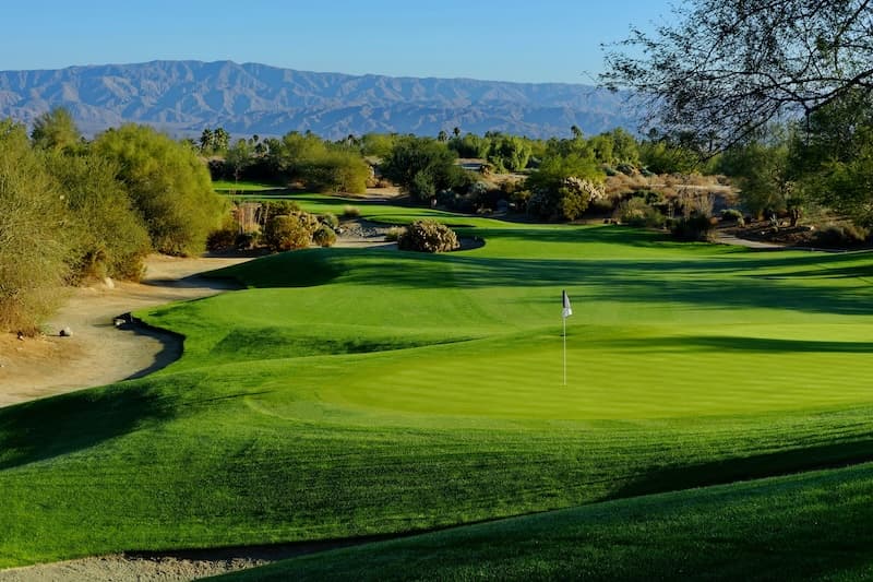 The Mountain View Course at Desert Willow