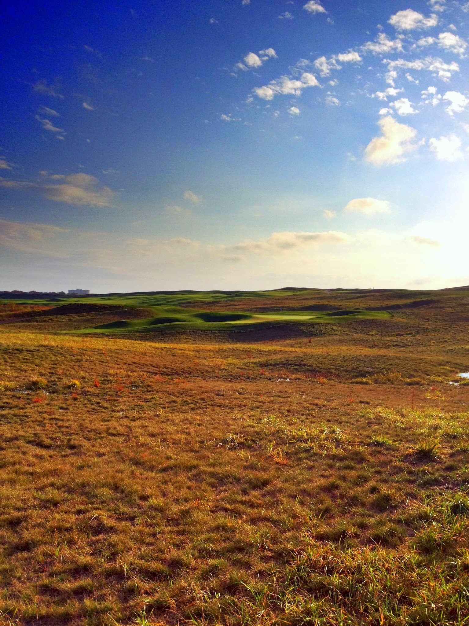 Chicago Highlands Club — Chicago Highlands Invitational