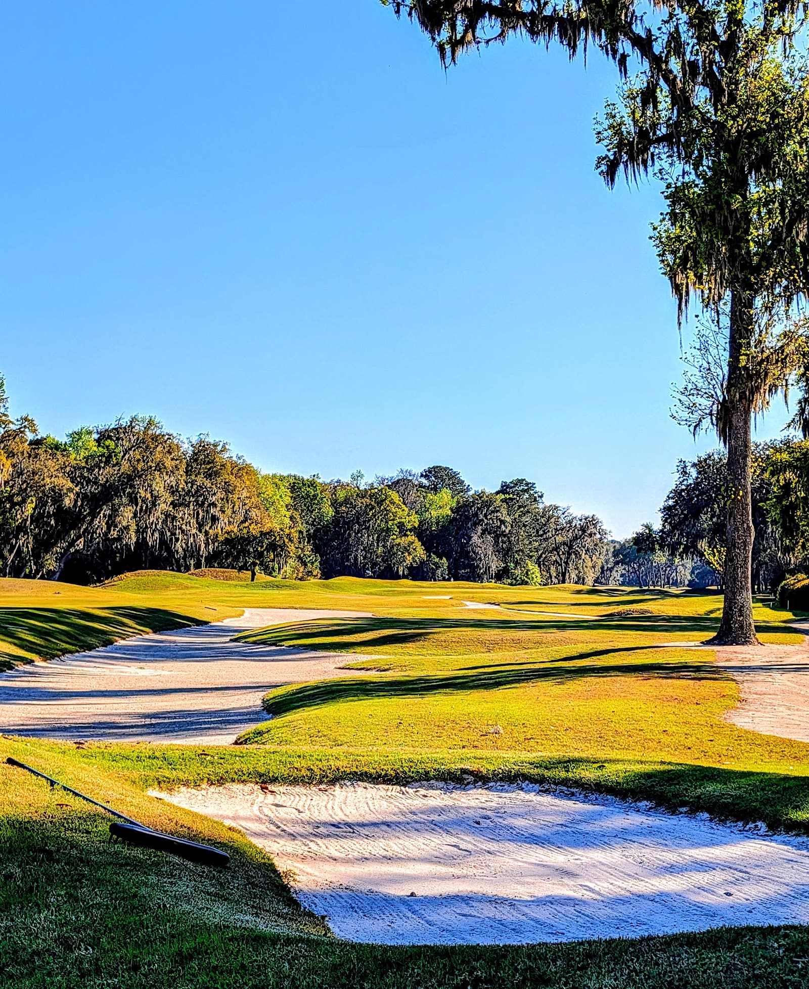 Colleton River Club - Dye Course — Spartan/Colleton River Collegiate