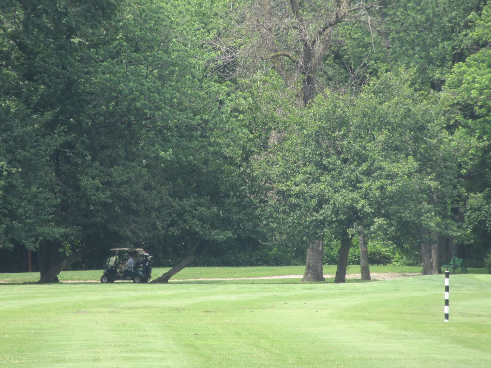 Columbus Park Golf Course — Cook County Amateur Championship