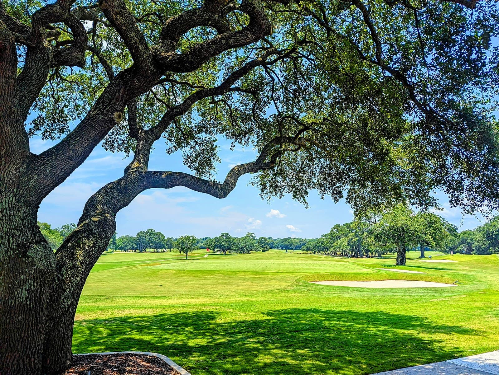 Country Club of Charleston — Azalea Invitational