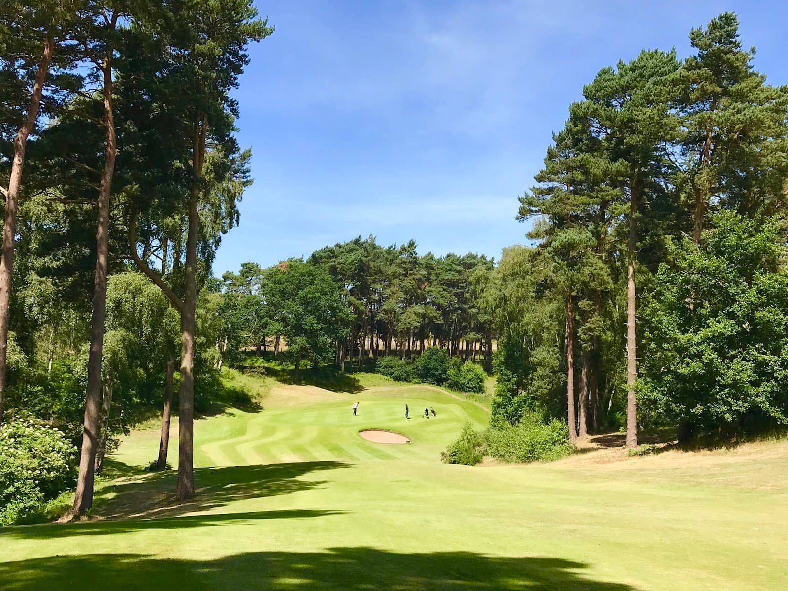 Enville Golf Club — British Open Regional Qualifying at Enville
