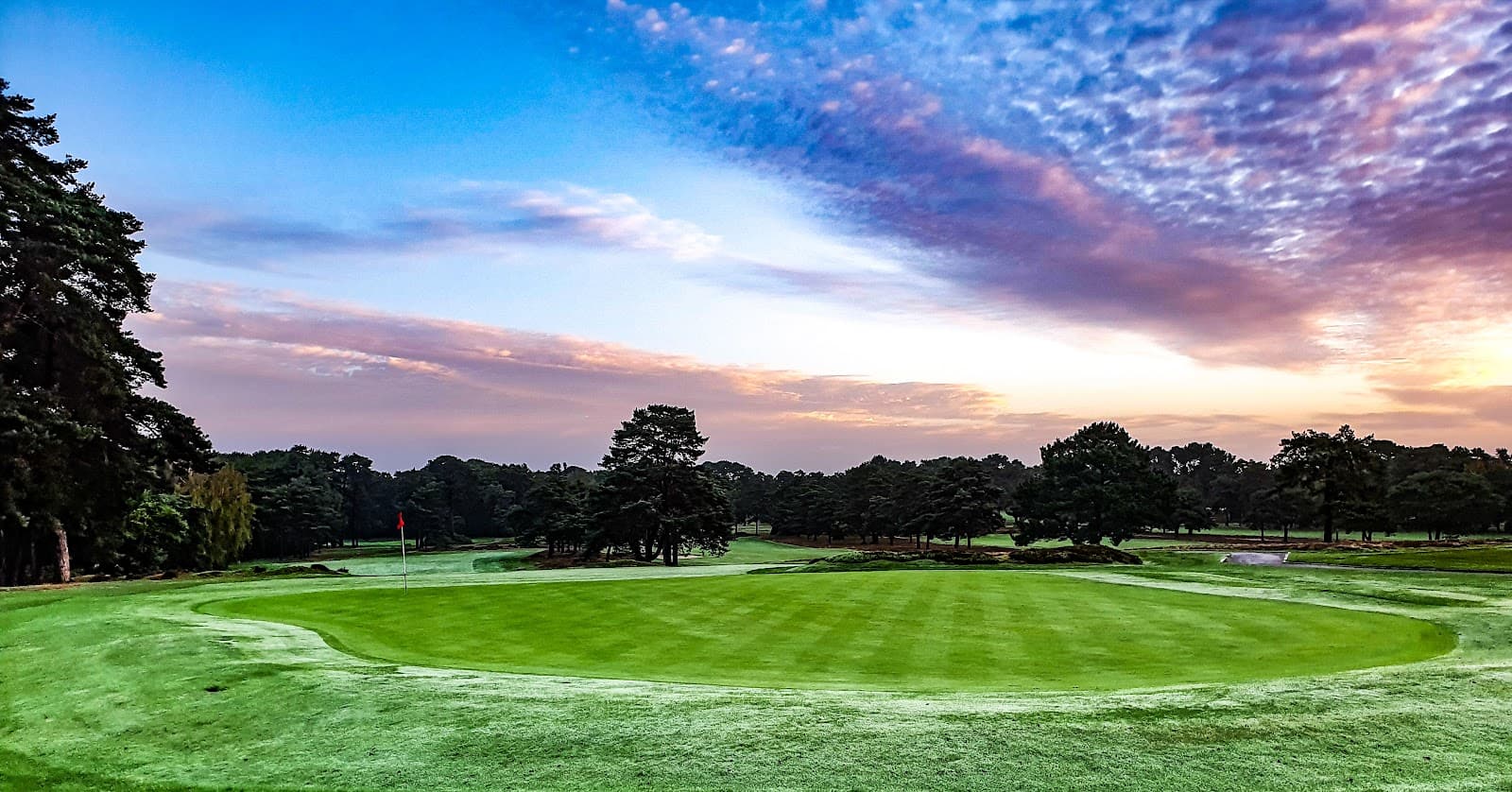 Ferndown Golf Club — British Open Regional Qualifying at Ferndown