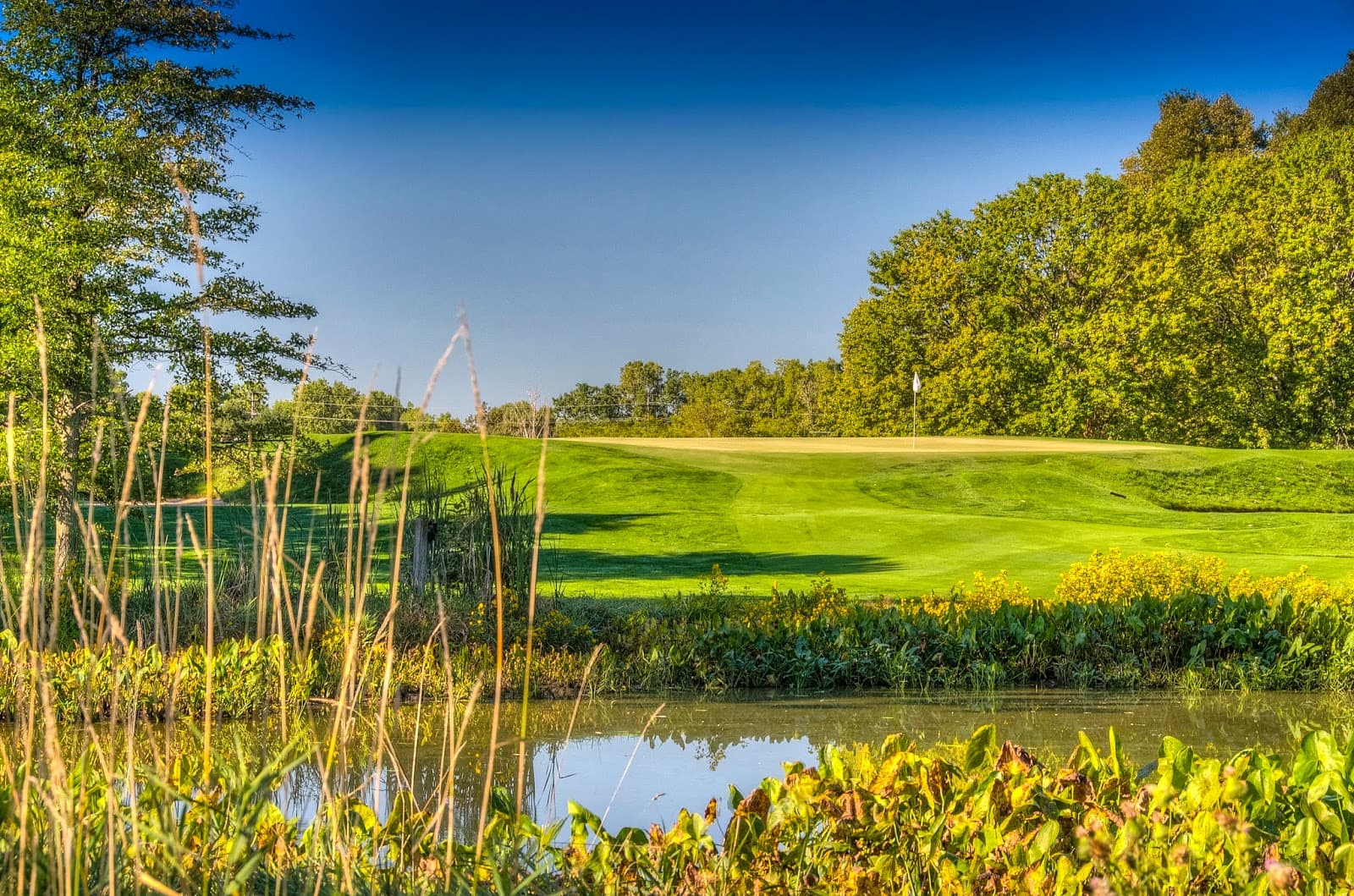Forest Akers - East Course — Golf Association of Michigan Junior Stroke Play Championship