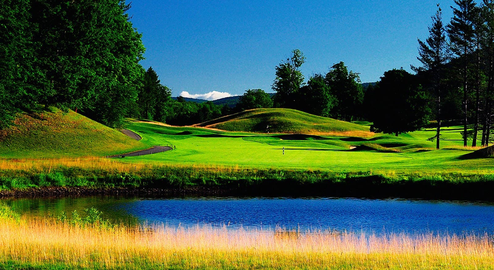 Fox Run Golf Club — Vermont Fall Four-Ball Tournament