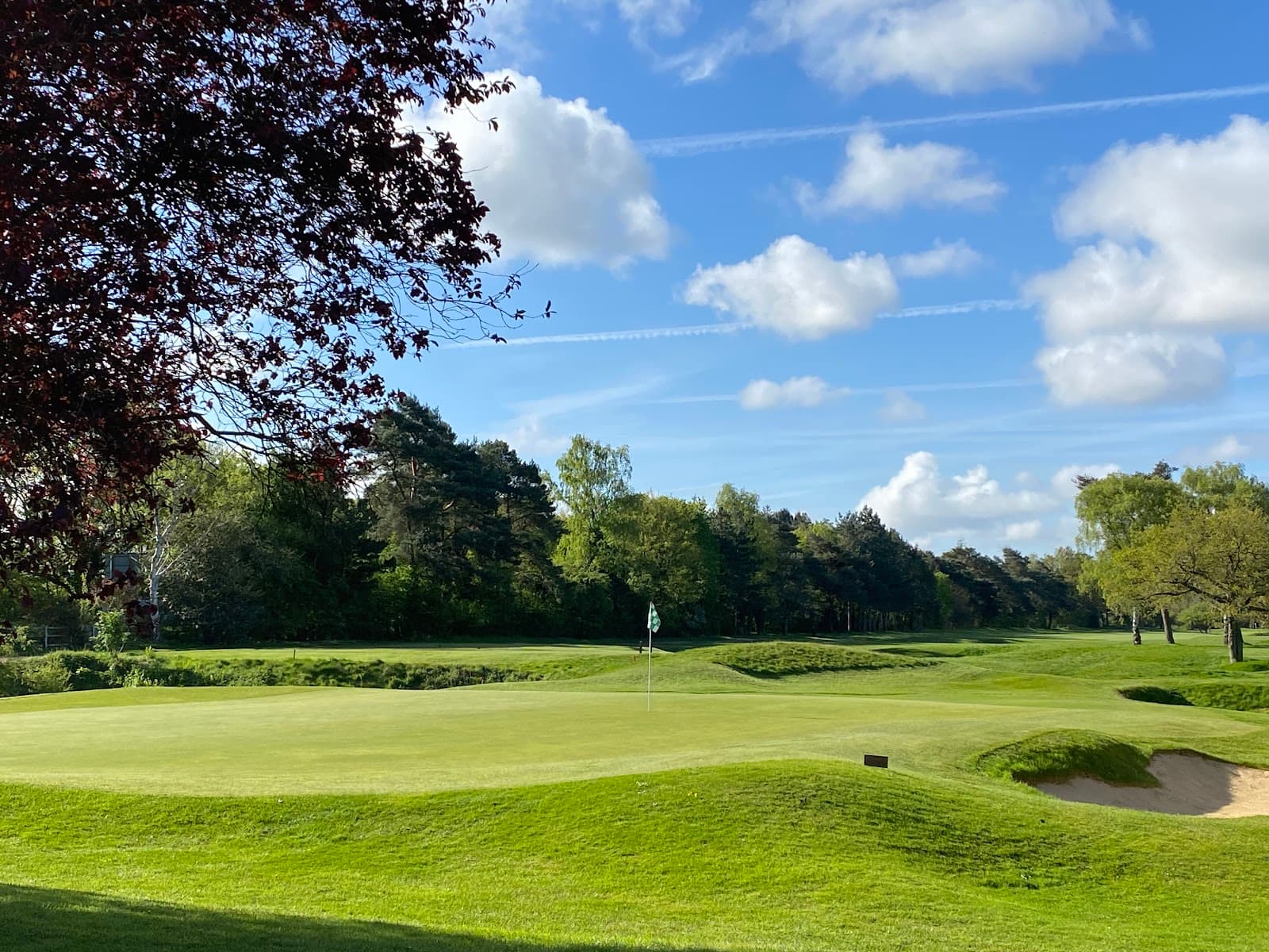 Frilford Heath Golf Club — British Womens Senior Amateur Championship