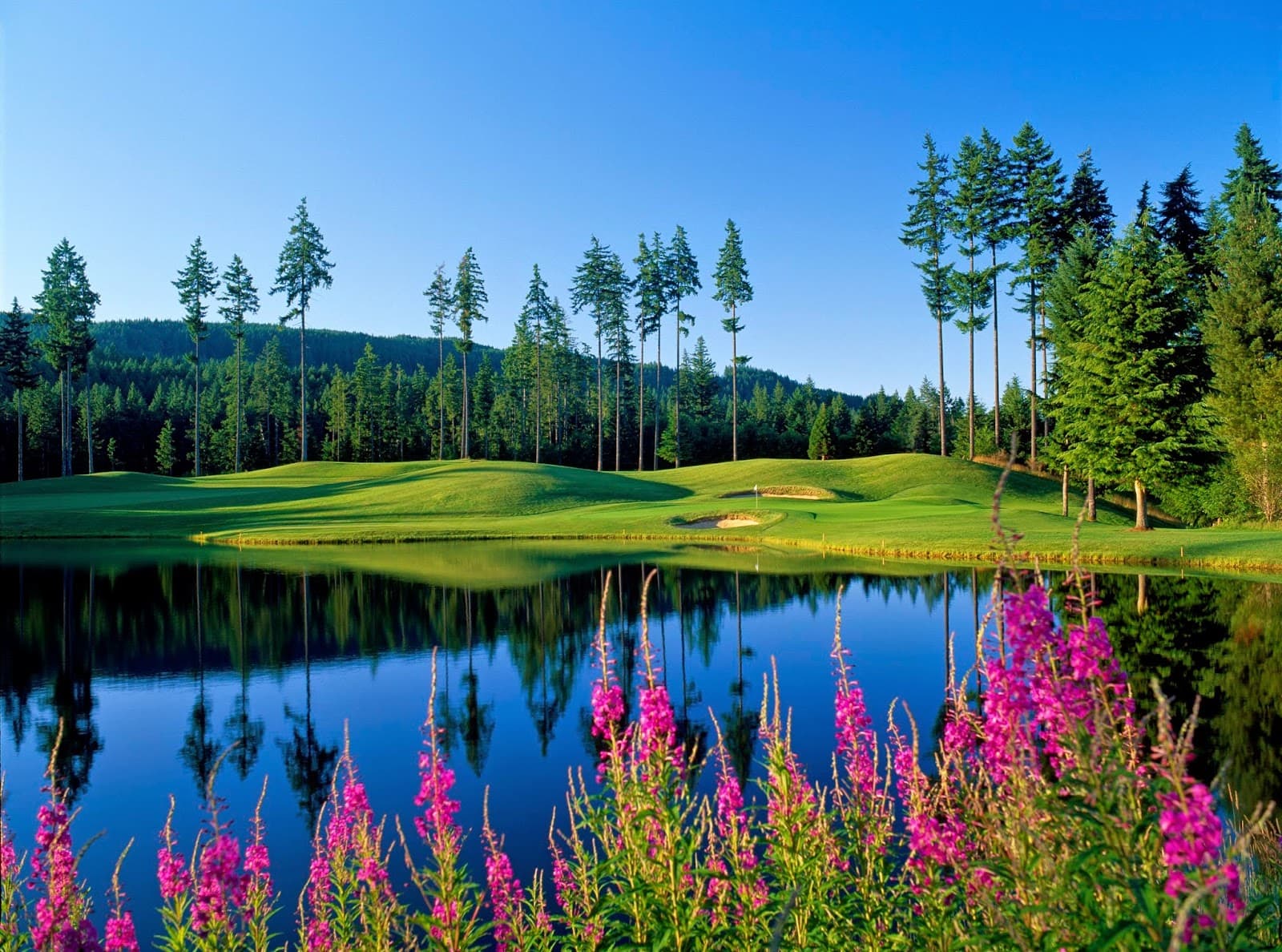 Gold Mountain Golf Course - Olympic Course — Dave Williams Two-Man Best-Ball