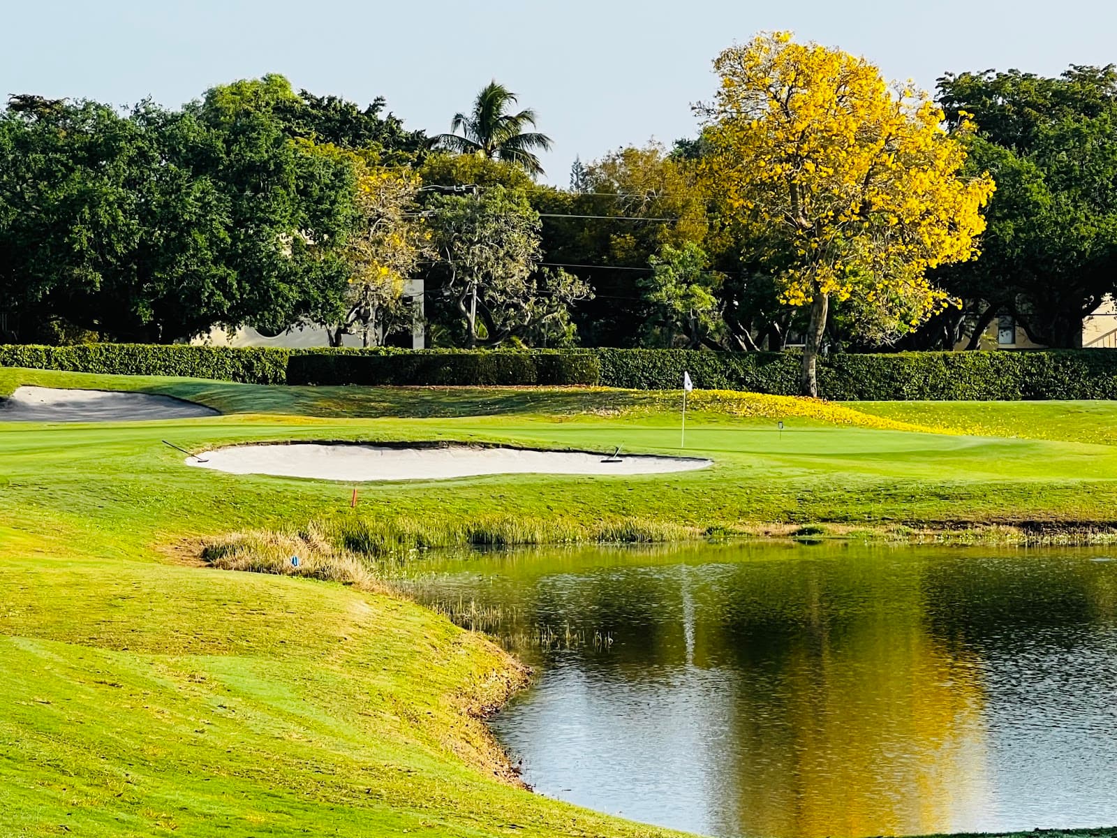 Grande Oaks Golf Club — Shark Invitational
