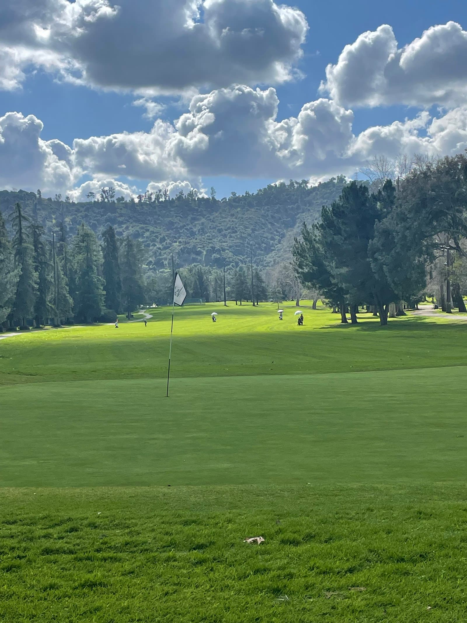Griffith Park Golf Course - Harding Course — Los Angeles City Men's Match Play Championship