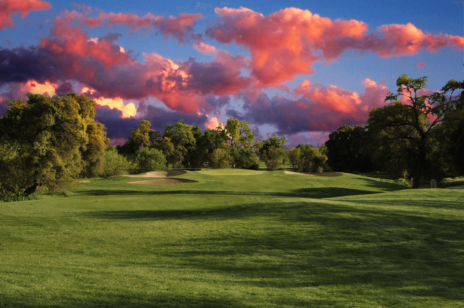 Haggin Oaks: Alister MacKenzie Course — California State Fair Men's Championship