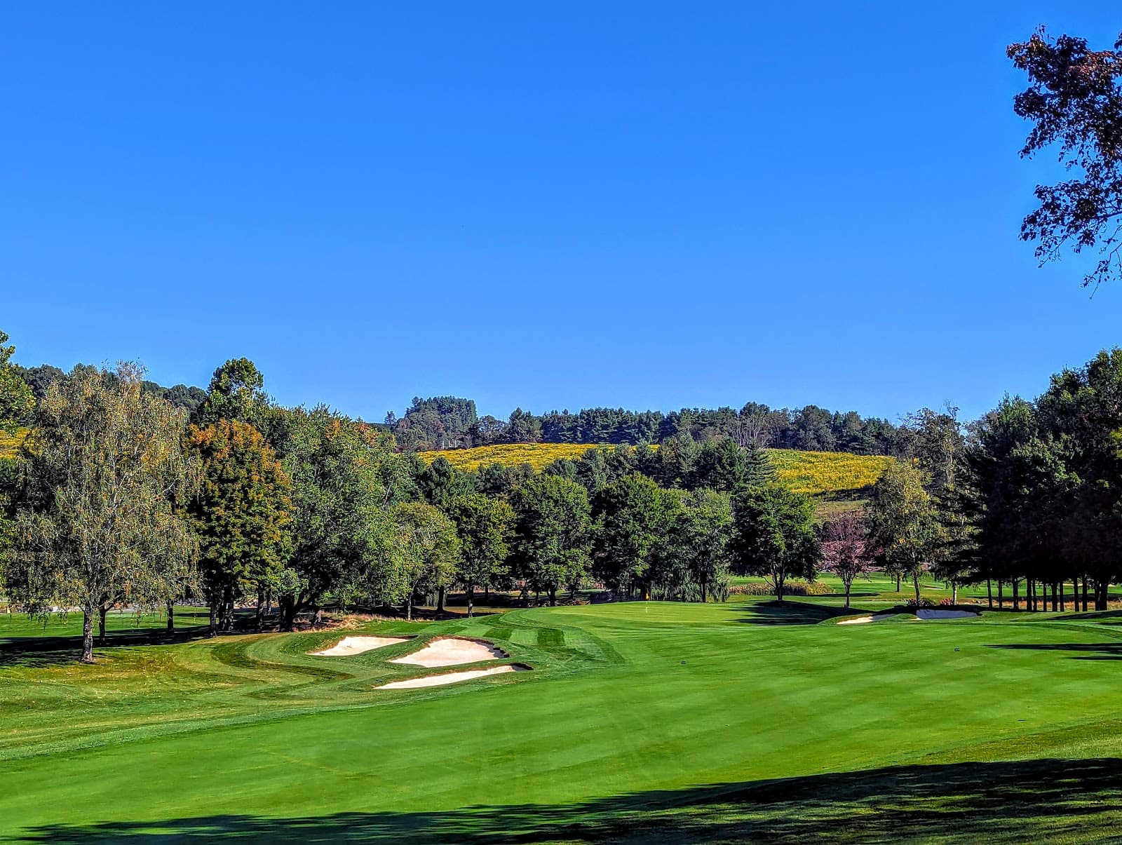 Jefferson Landing Club — Carolinas Super Senior Championship