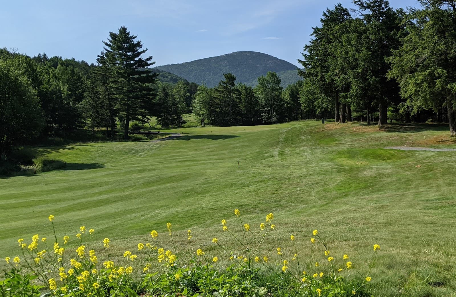 Kebo Valley Golf Club — Downeast Metro Amateur