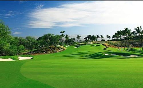 Mangrove Bay Golf Course — St. Petersburg City Amateur Golf Championship