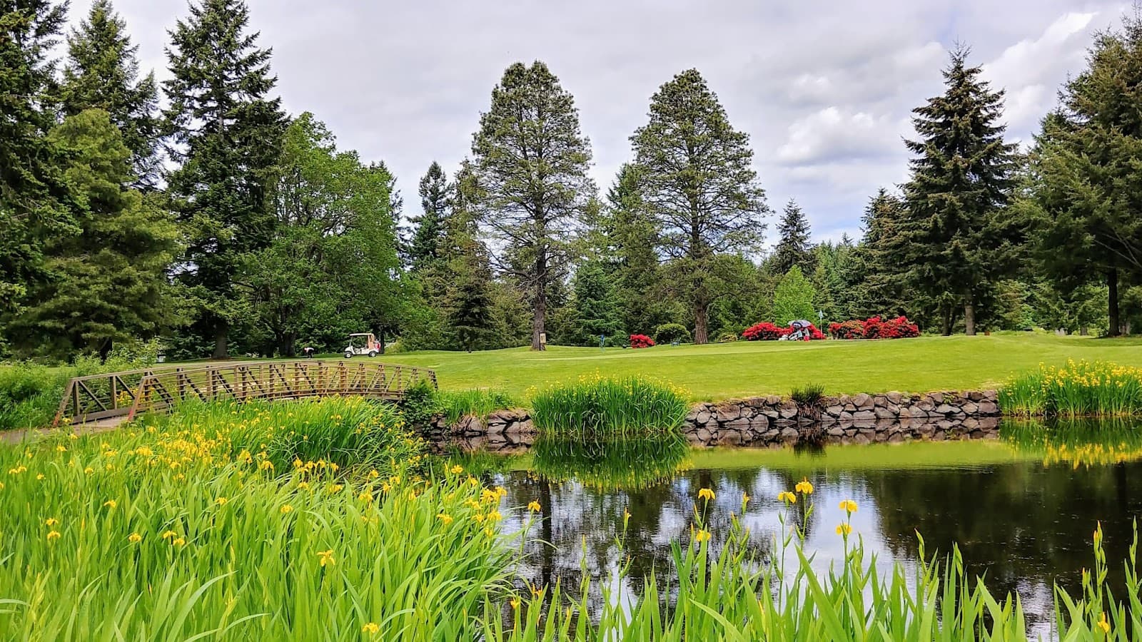 Meadow Park Golf Course — Tacoma Senior City Amateur Championship