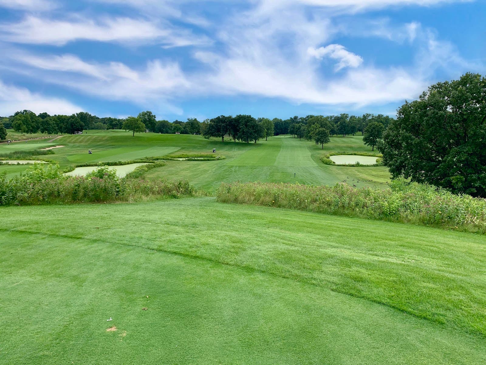 Meadowbrook Golf Course — Twin Cities Championship