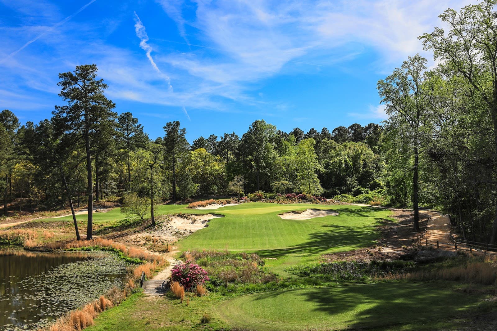Mid Pines Inn & Golf Club — Longleaf Pine Amateur