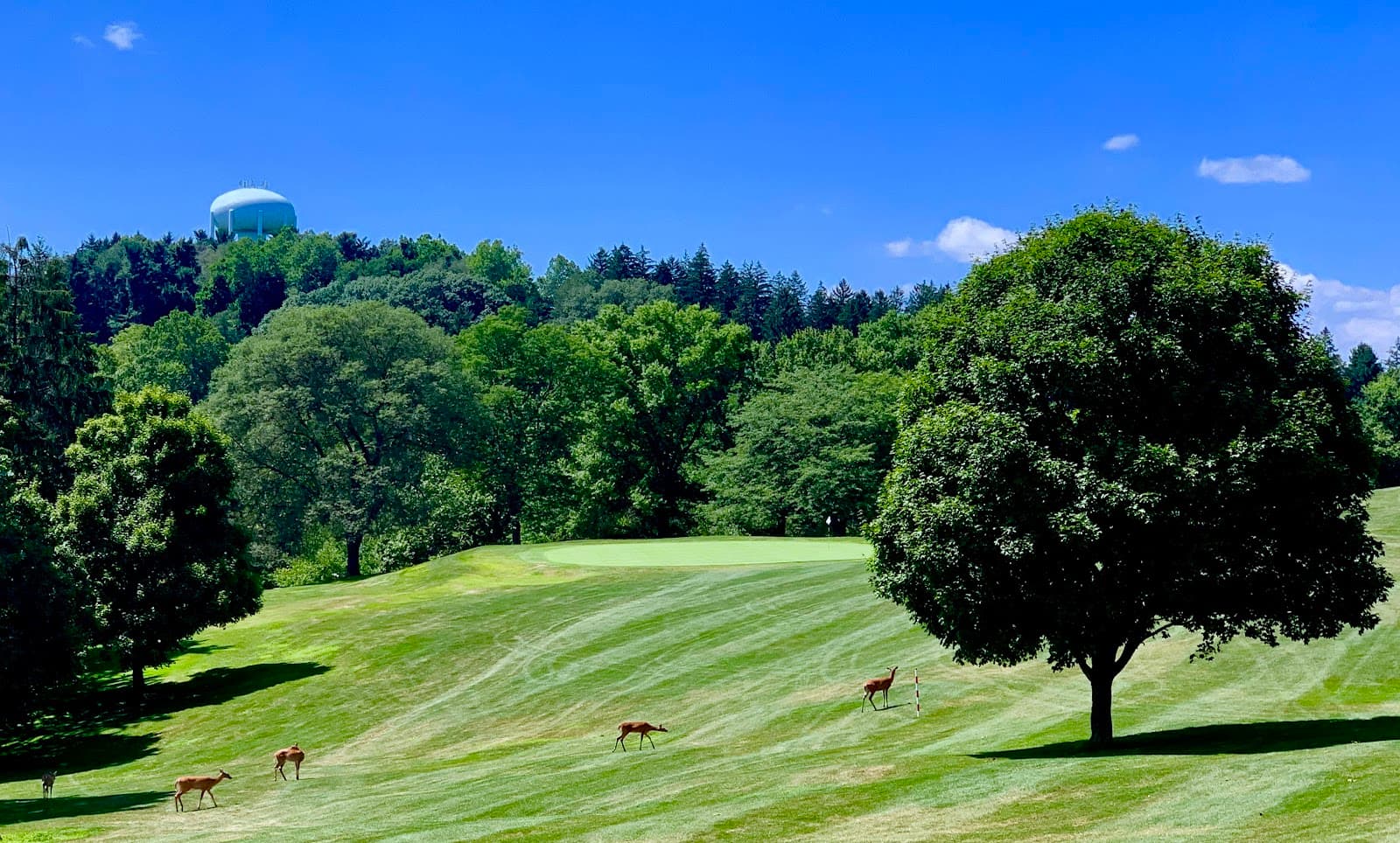 OgleBay - Crispin Golf Course — West Liberty Invitational