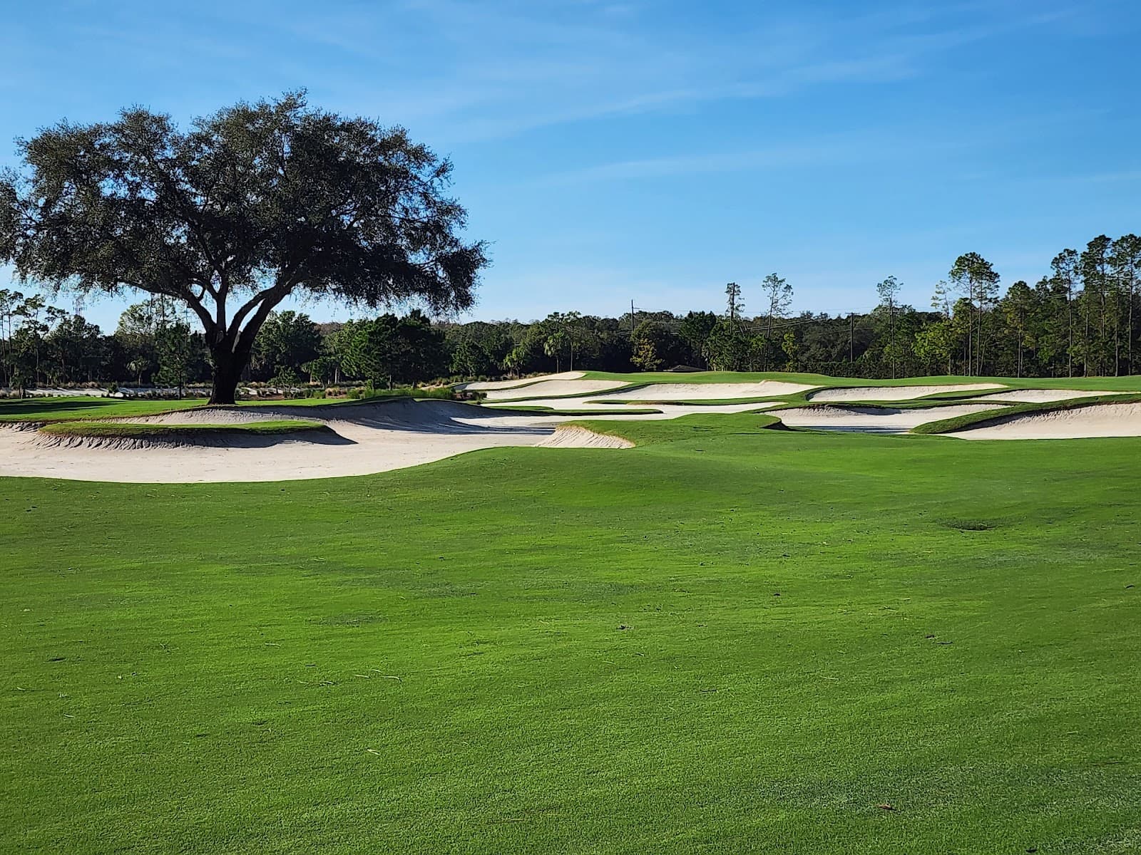 Old Memorial Golf Club — Florida Cup Challenge Matches