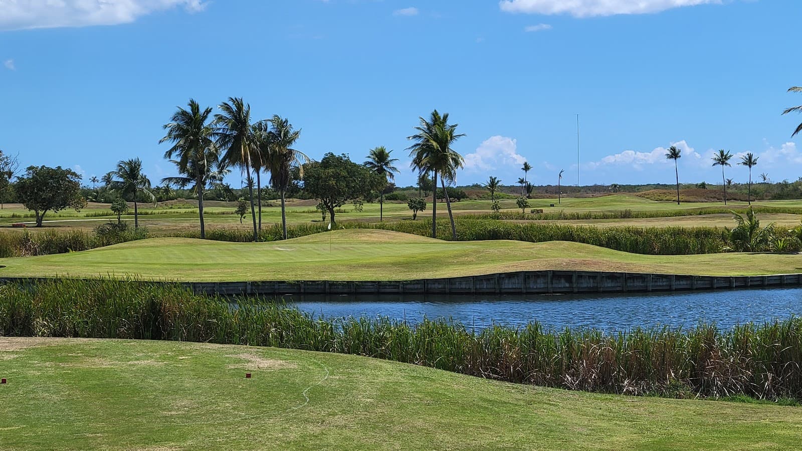 Palmas Del Mar Country Club - Flamboyan Course — Palmas del Mar Collegiate
