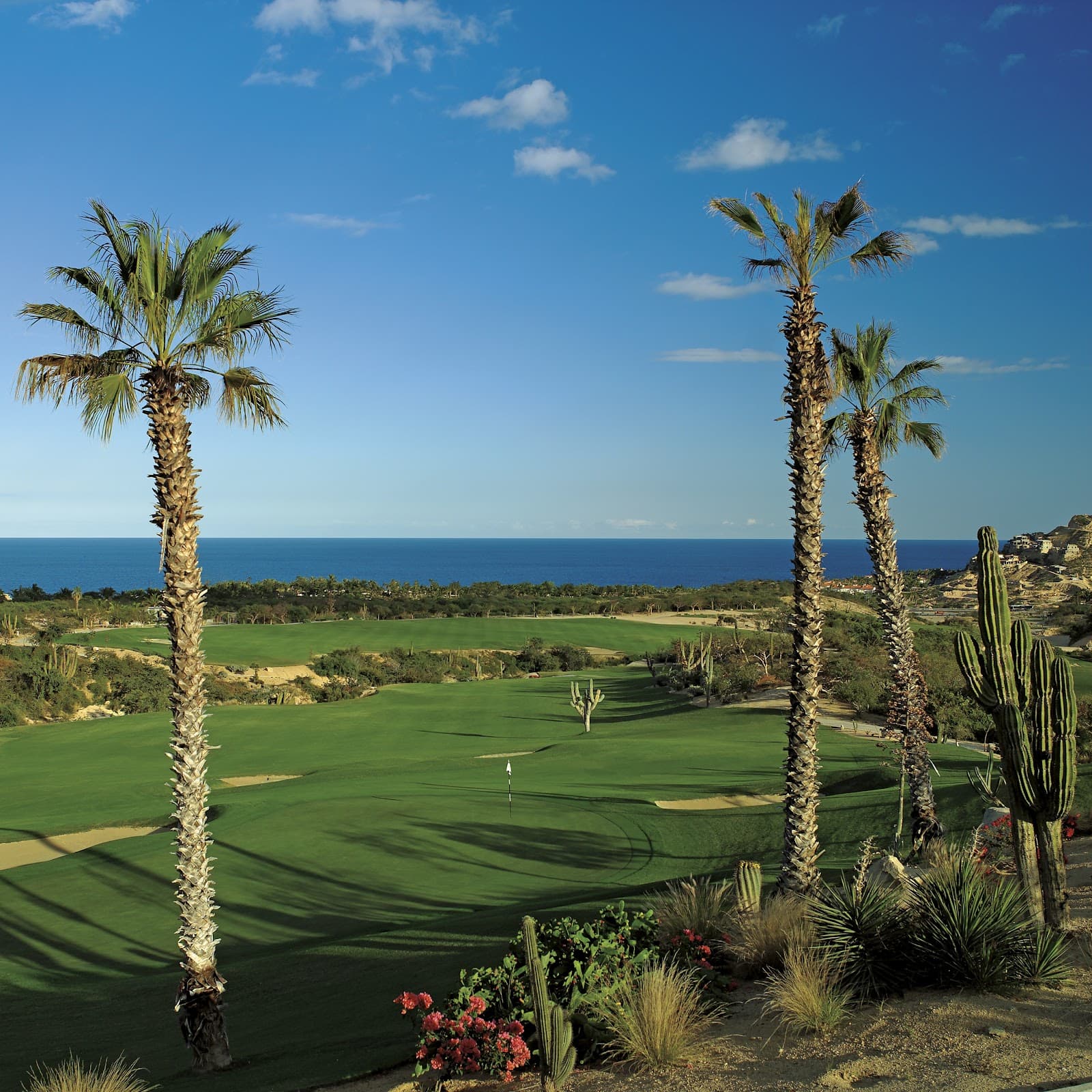Palmilla Golf Club — Monday Qualifier - PGA Tour World Wide Technology Championship