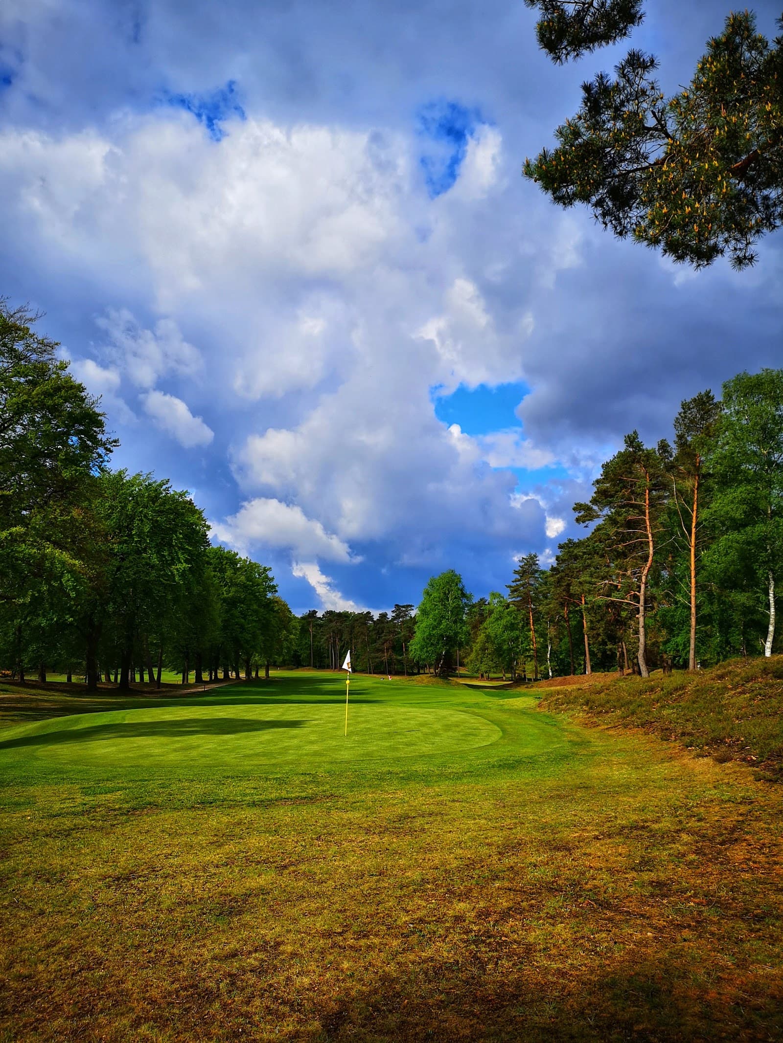 Rosendaelsche Golfclub — Dutch National Stroke Play Championship