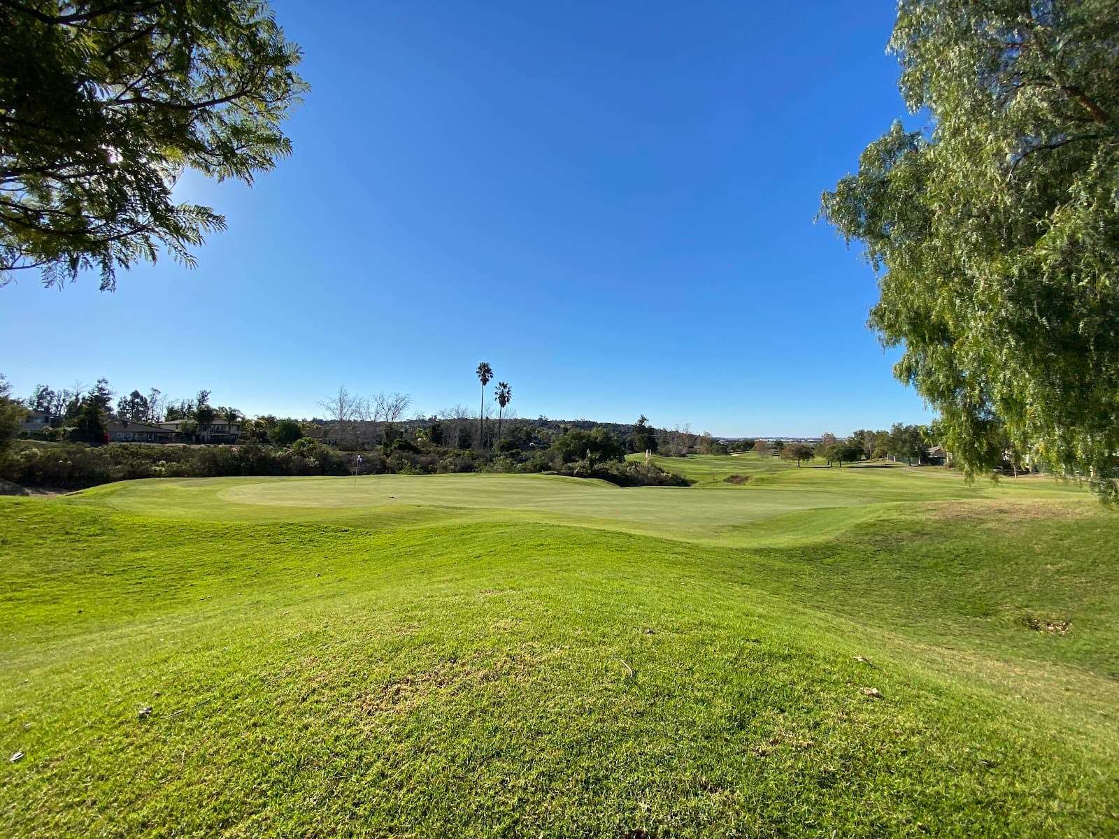 Sterling Hills Golf Club — MSU SoCal Spring Invitational