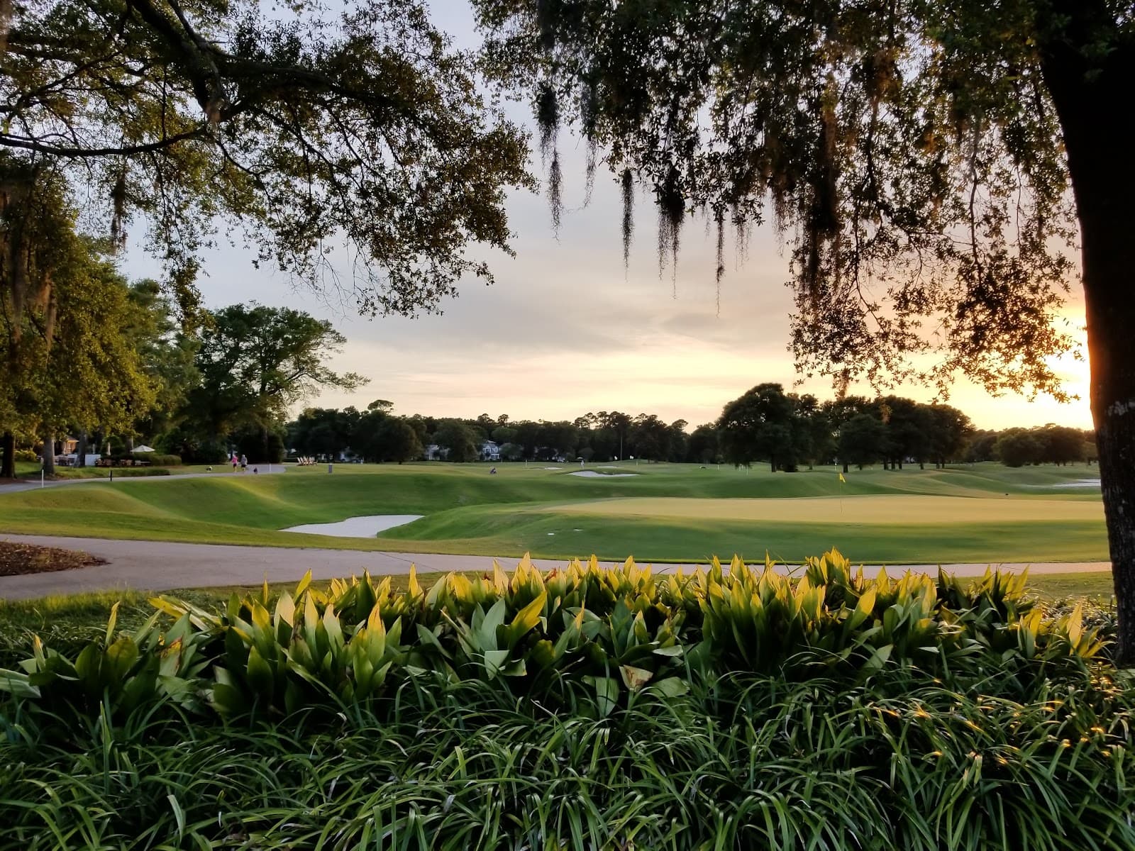 The Country Club of Landfall - Pete Dye Course — Seahawk Intercollegiate