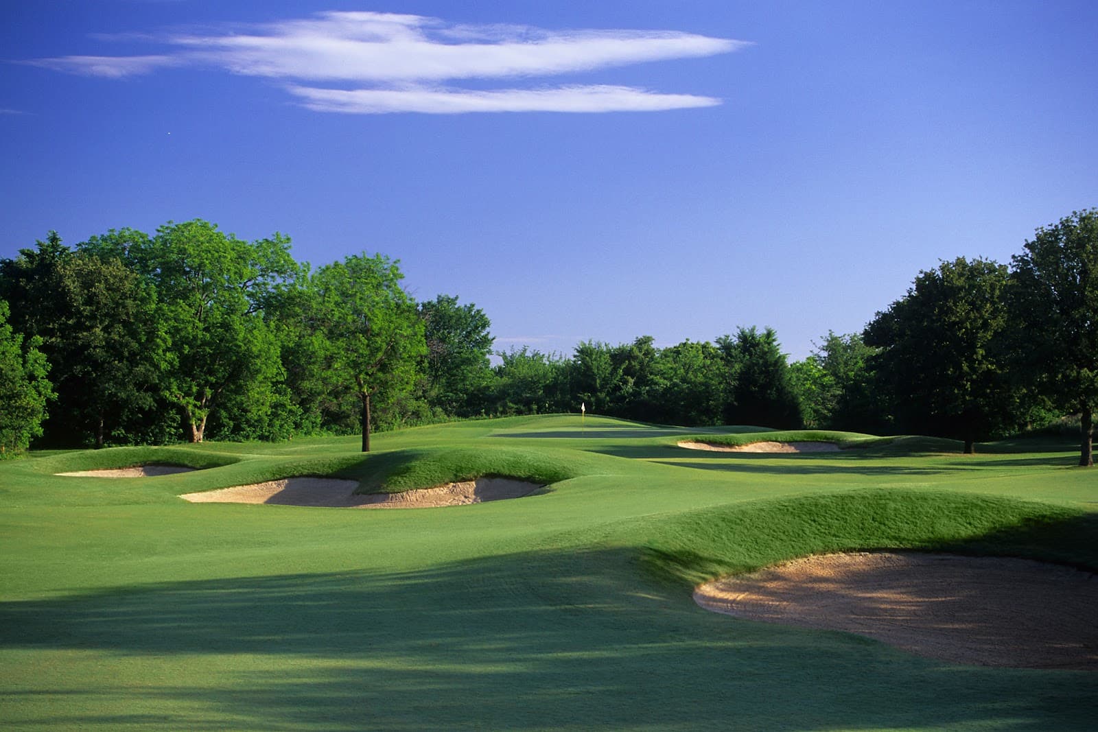 Tierra Verde Golf Club — Arlington Best Ball Championship